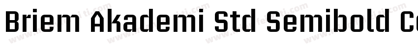 Briem Akademi Std Semibold Cond字体转换